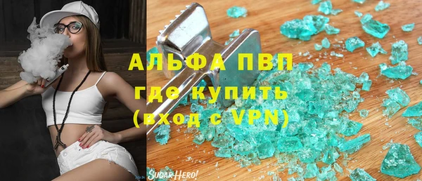 прущие грибы Нефтекумск