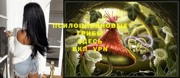 прущие грибы Нефтекумск
