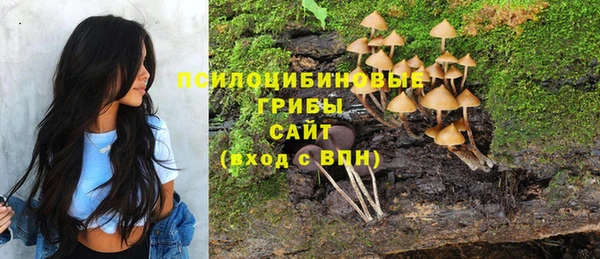 СК Абинск