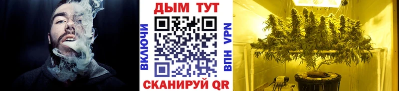 Канабис Amnesia  Ессентукская 